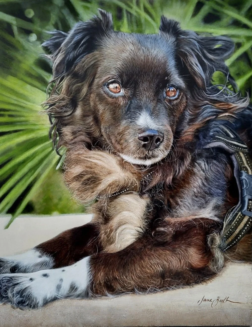 Maja - 20" x 16" - Oil on Panel - Past Commission