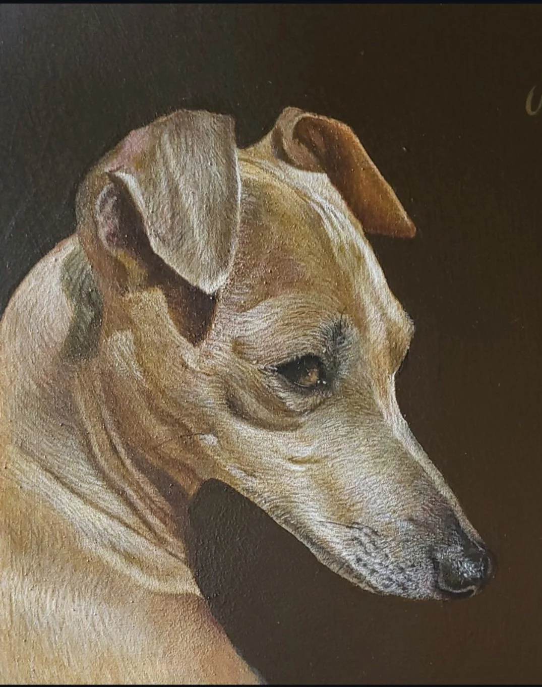 Lulu - 10" x 8" - Oil on Panel - Past Commission