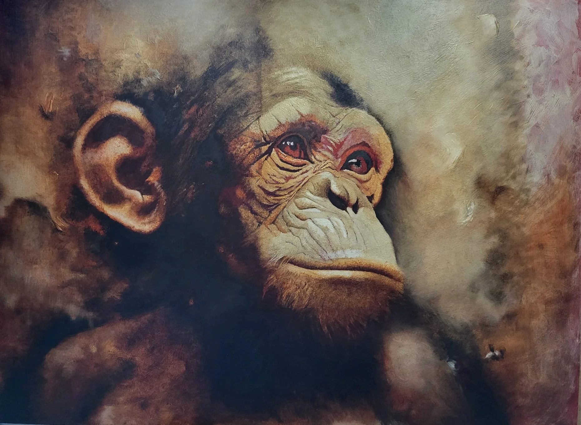 Young Chimp Oil Painting