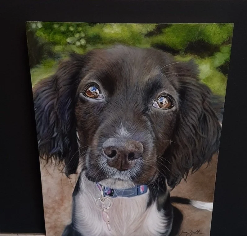 Lola - 10" x 12" - Oil on Panel - Past Commission