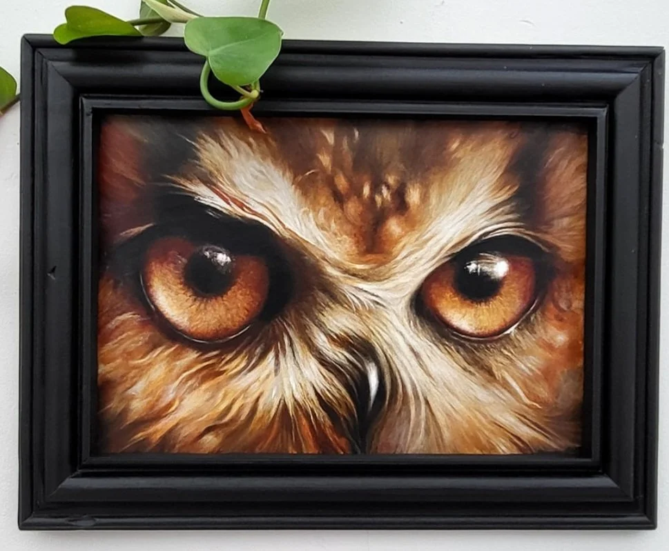 Framed Owl Face - 11" x 14" - Oil on Panel - Available for Sale