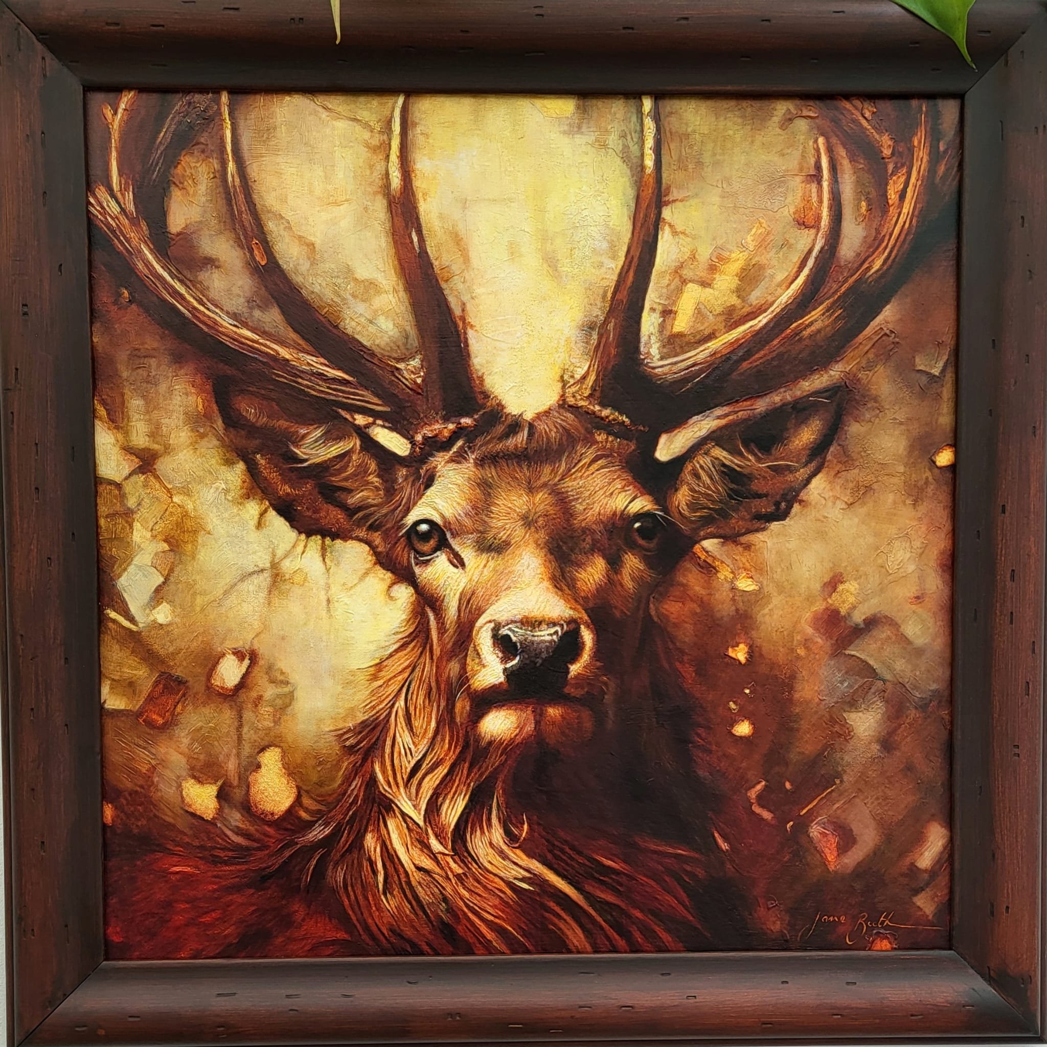  Stag - Available for sale - Sold