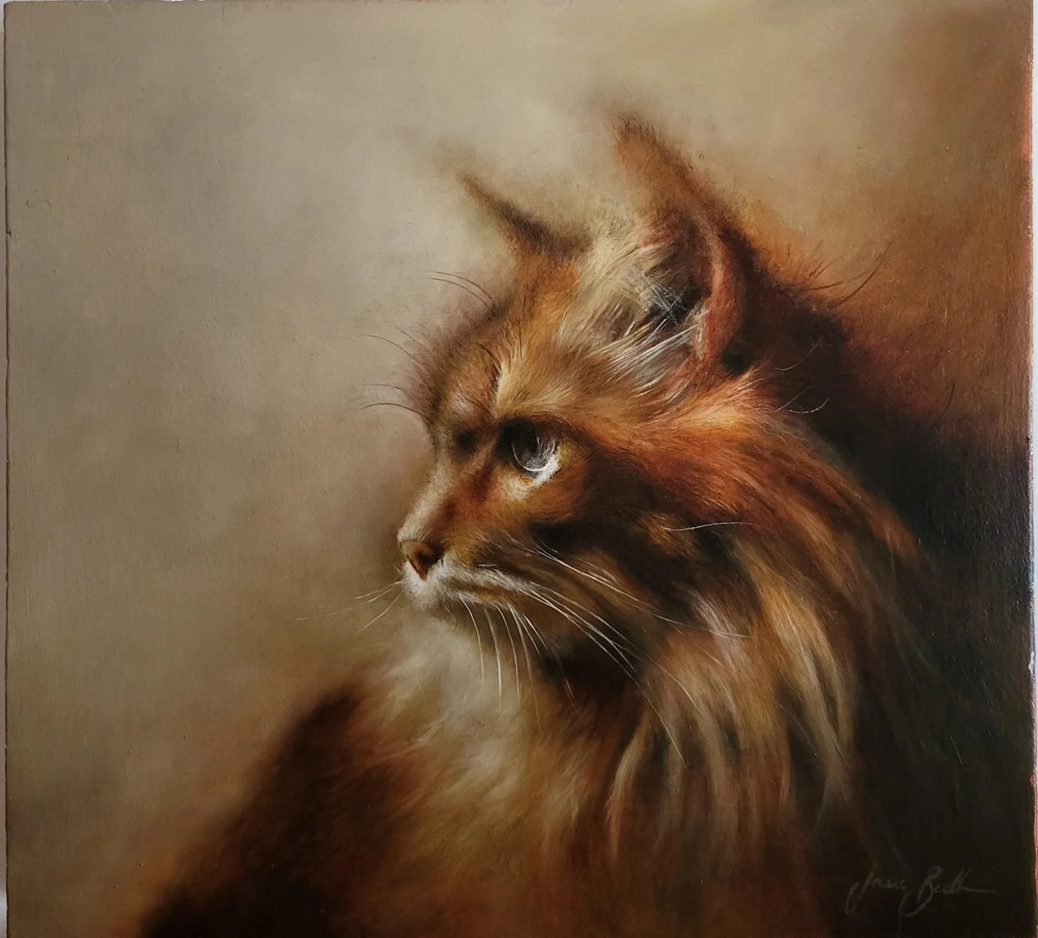 Cat - 13" x 14" - Oil on wood - Available for sale