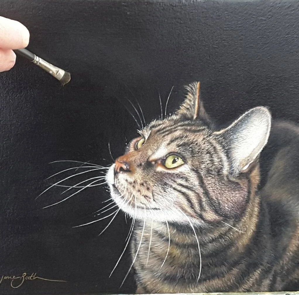 Ruby - 12" x 12" - Oil on Panel - Past Commission