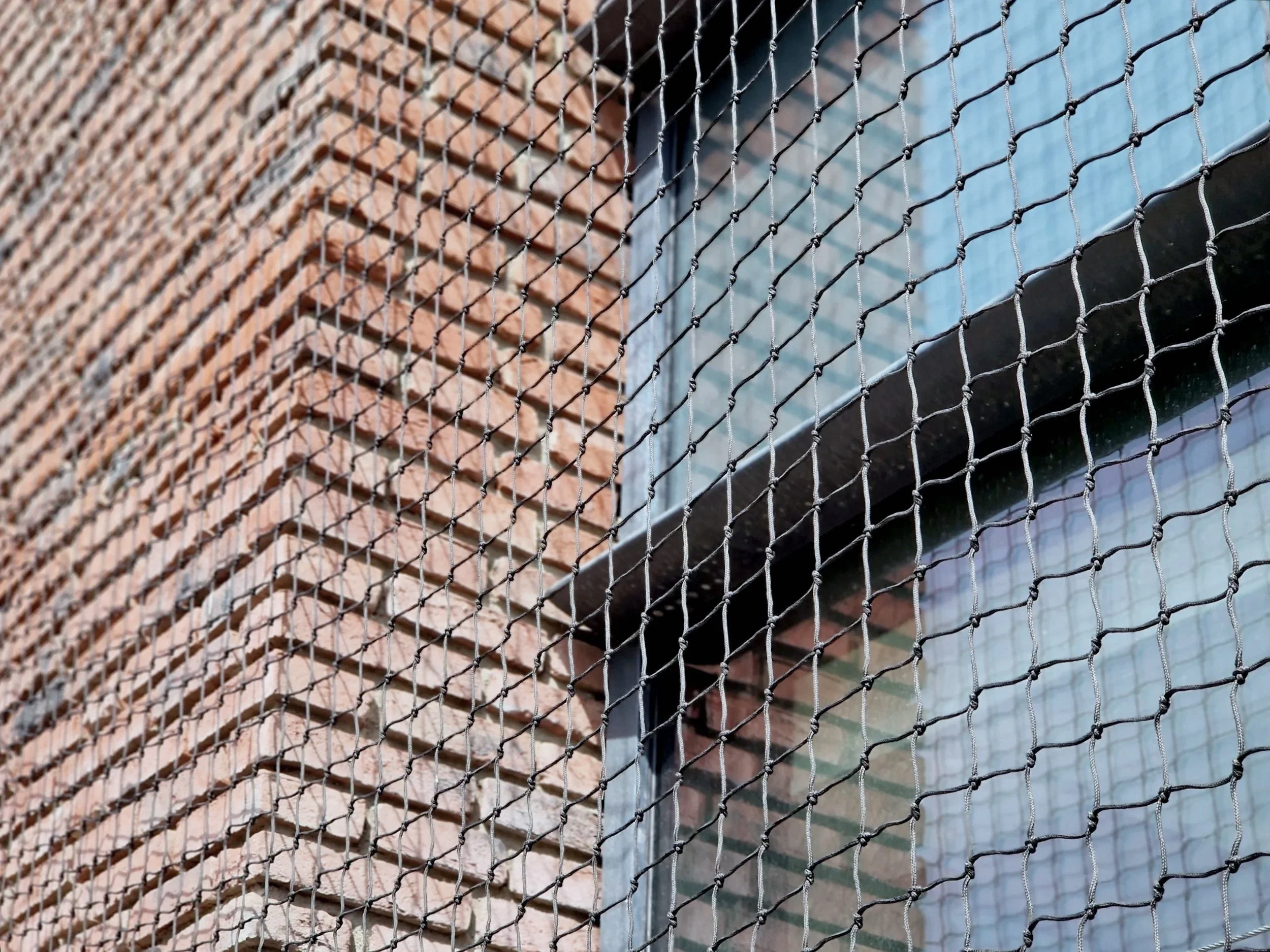 Portfolio – Taubenschutznetze | Plaschke Tezett