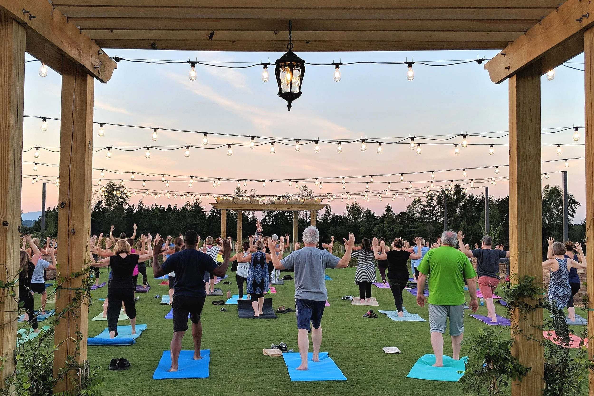 Yoga Night in the Vineyard Garden