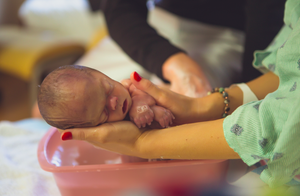 Kaytee Fisher Forced Joy Project