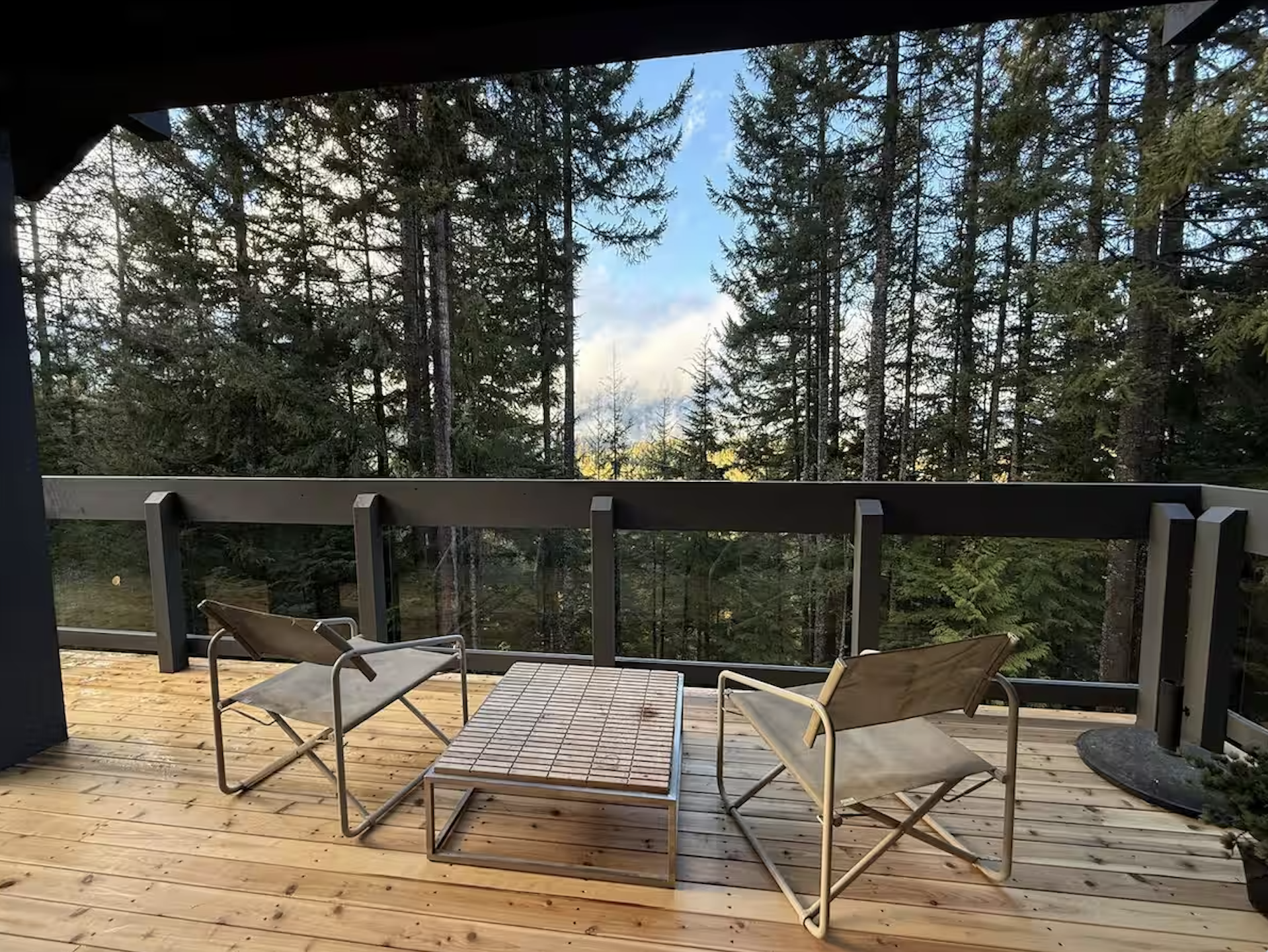 Screenshot 2026-02-20 at 9.22.41 PM.png (Copy) (Copy)