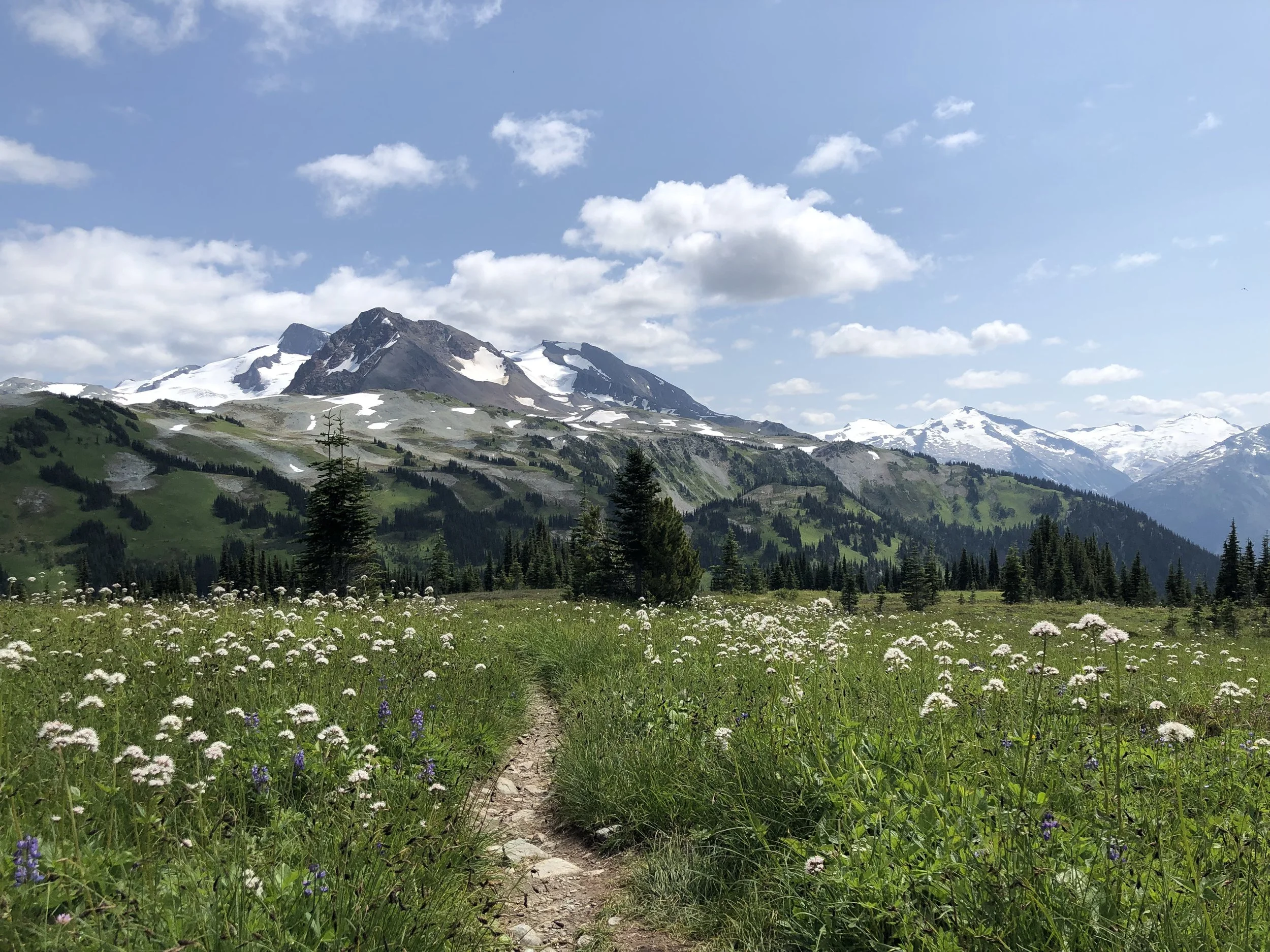 IMG_2038.jpeg (Copy) (Copy)