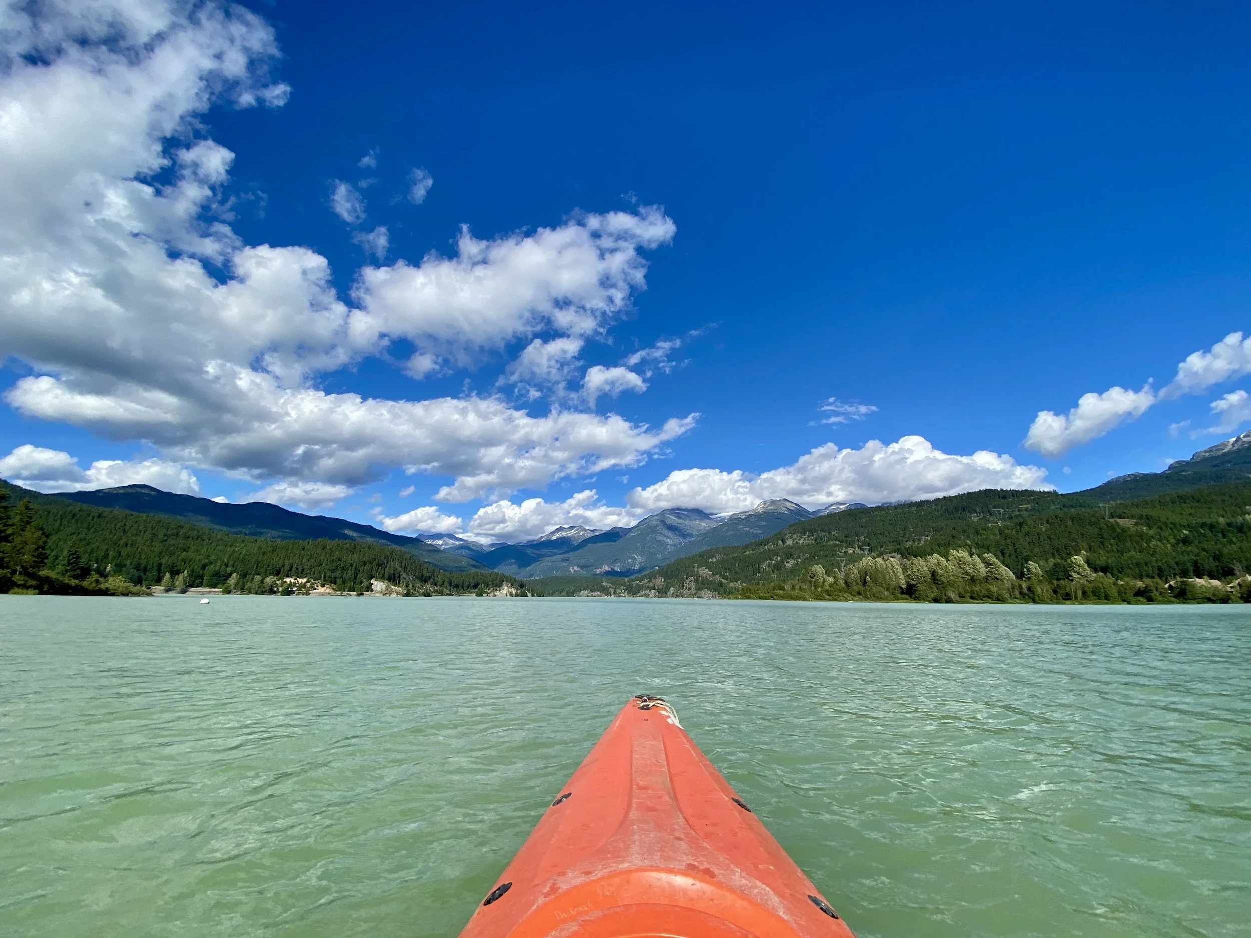 IMG_2089.jpeg (Copy)