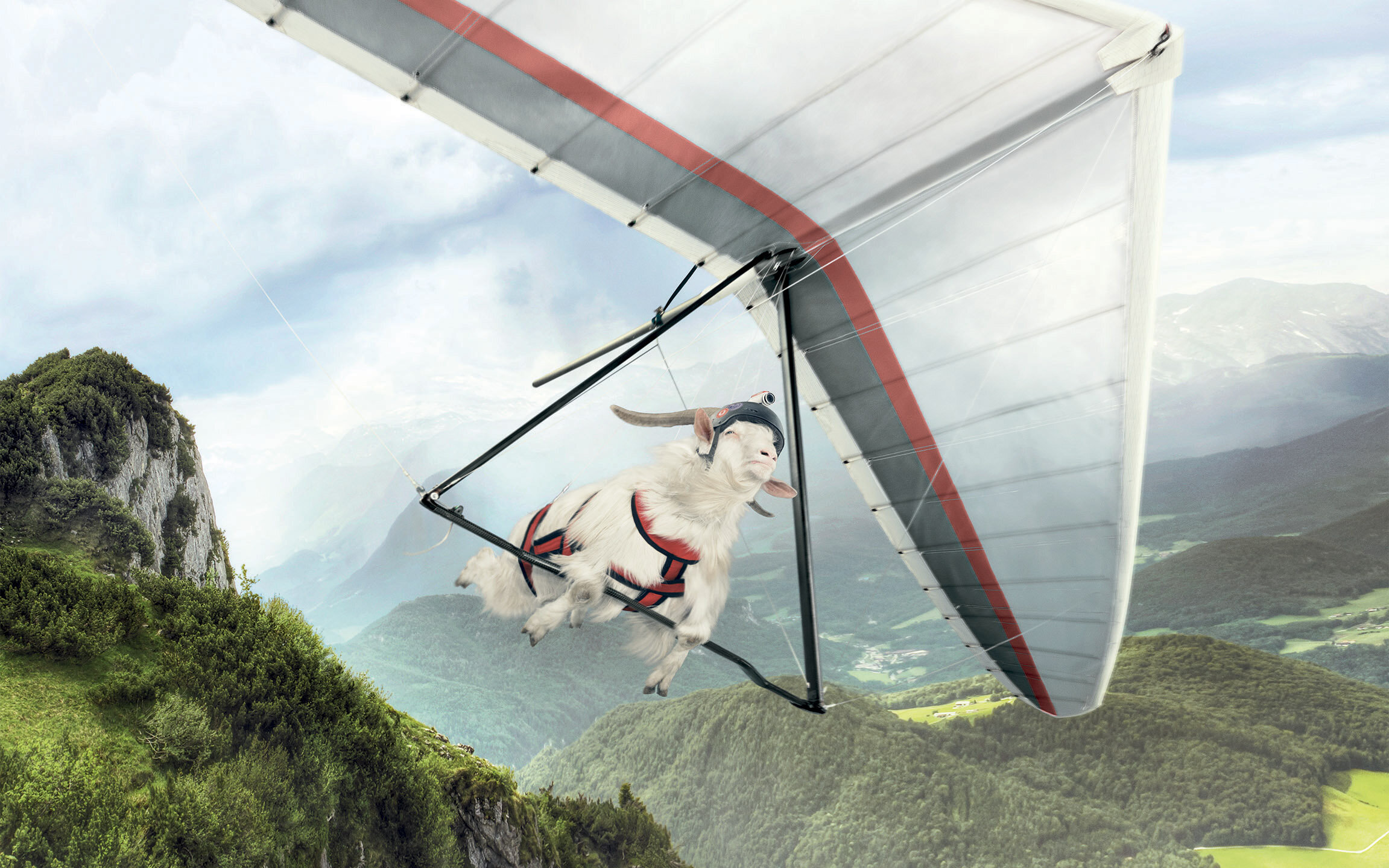 tomtom-hangglider.jpg