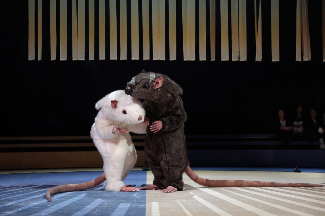 25_04_NB_Now_We_Are_Earth_AnjaBeutler.de_024 [web].jpeg