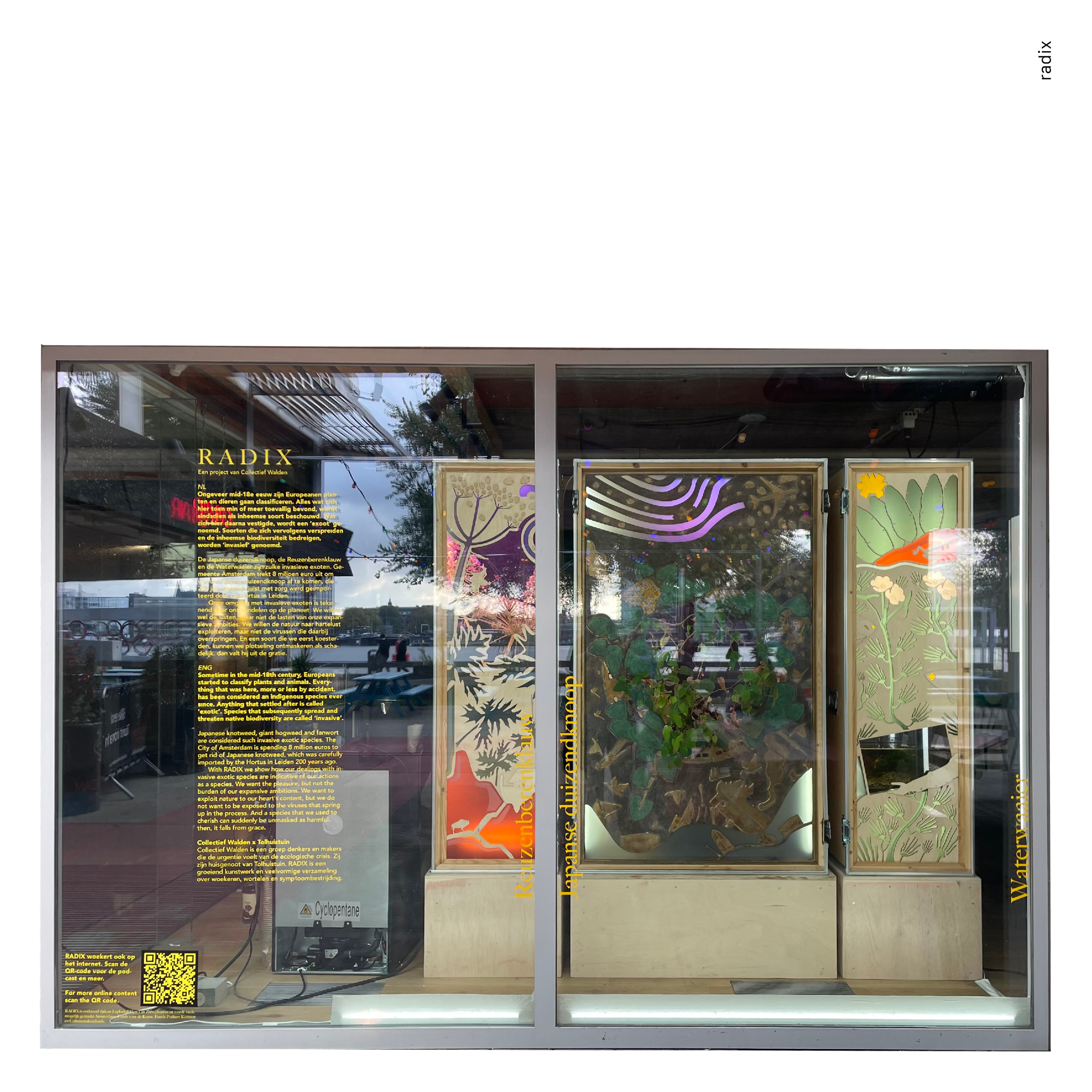 INSTAGRAM - RLP - radix.png