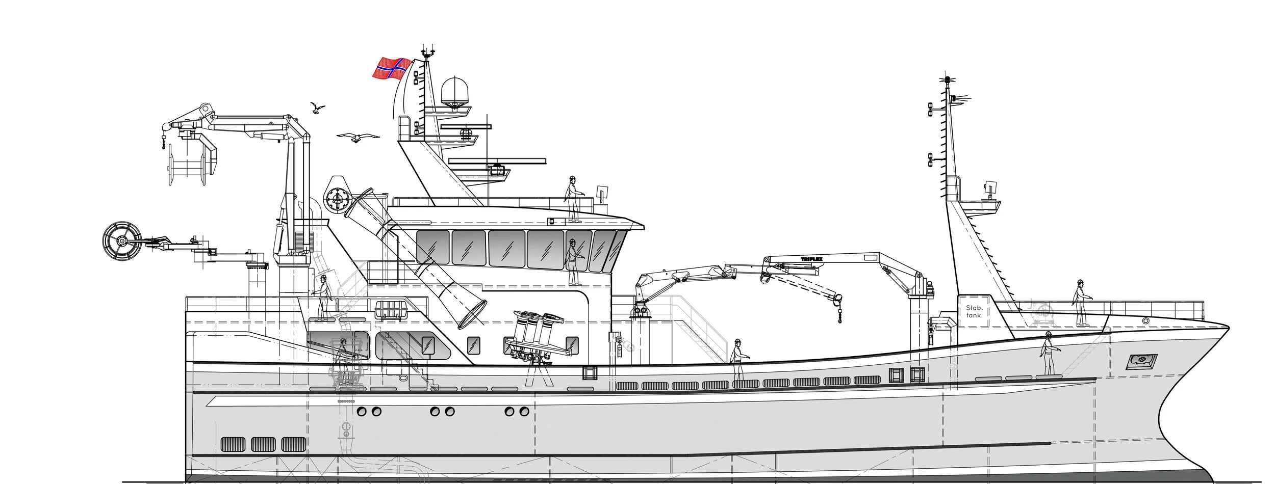 Bluefin Profil.jpg