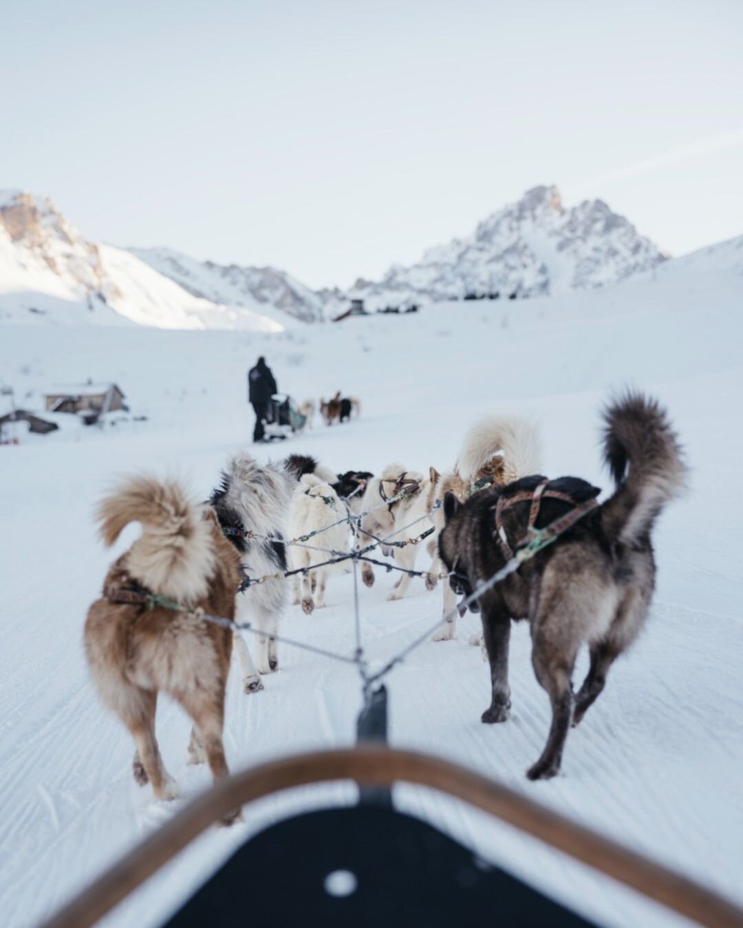 Immerse yourself in the icy elegance of winter with an exceptional dog sledding experience.

Let yourself be captivated by the grace of huskies in full action as you glide through snow-covered landscapes of timeless beauty.

Our dog sledding outi