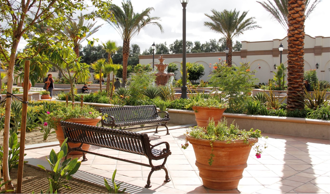  Seating areas provide views into the plaza and are framed with massings of ornamental plants. 