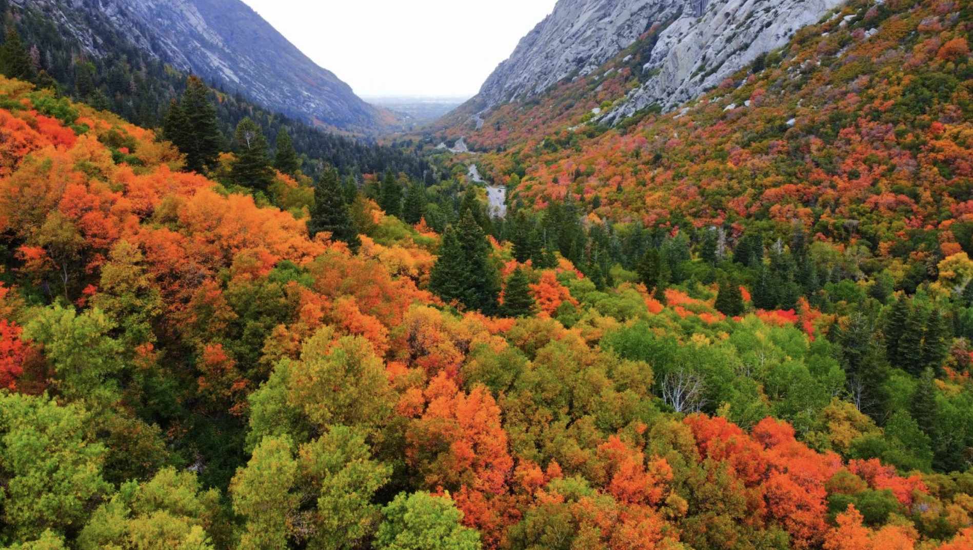ASLA UTAH OCTOBER NEWSLETTER 