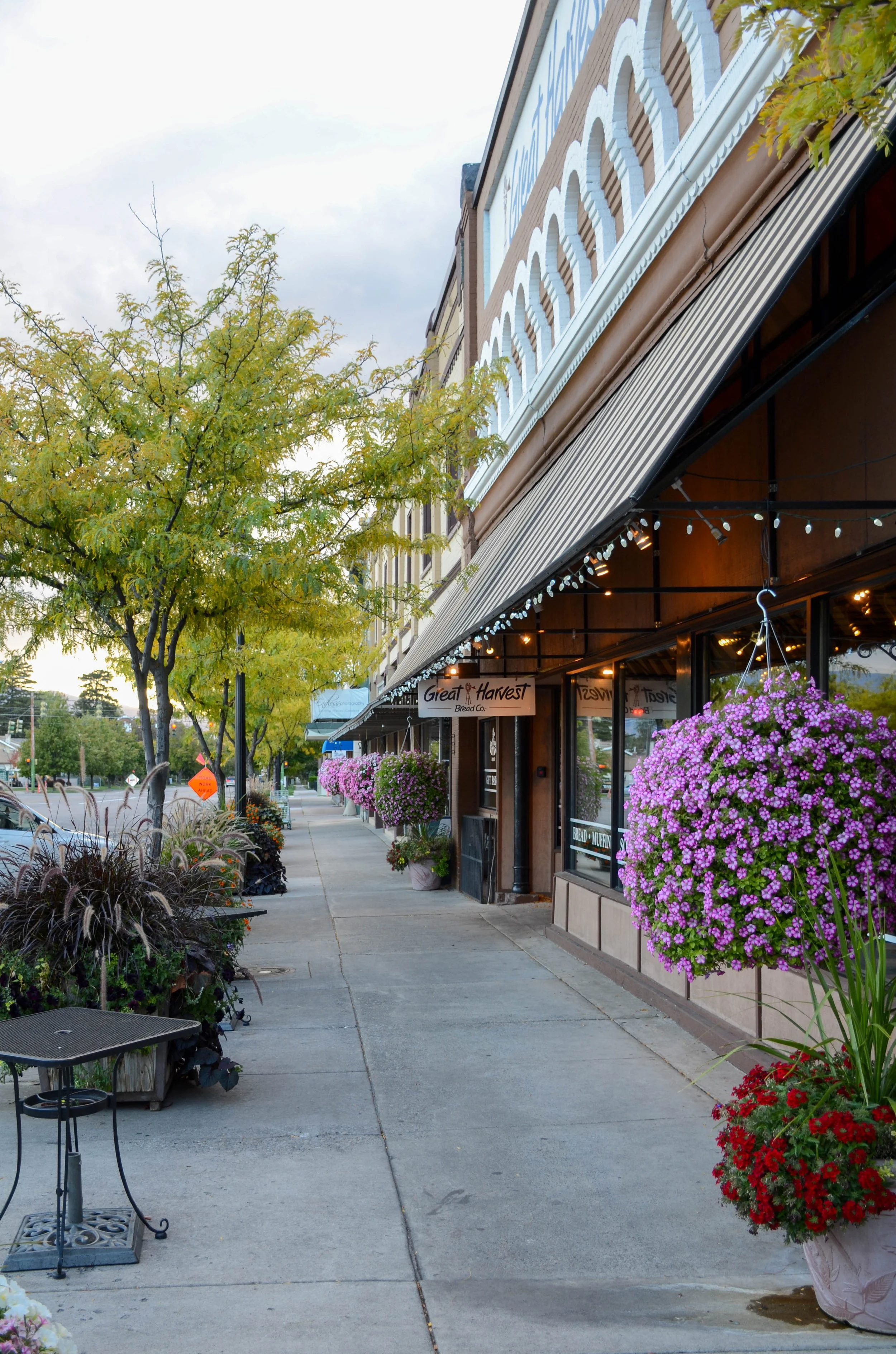 ASLA UTAH JANUARY NEWSLETTER