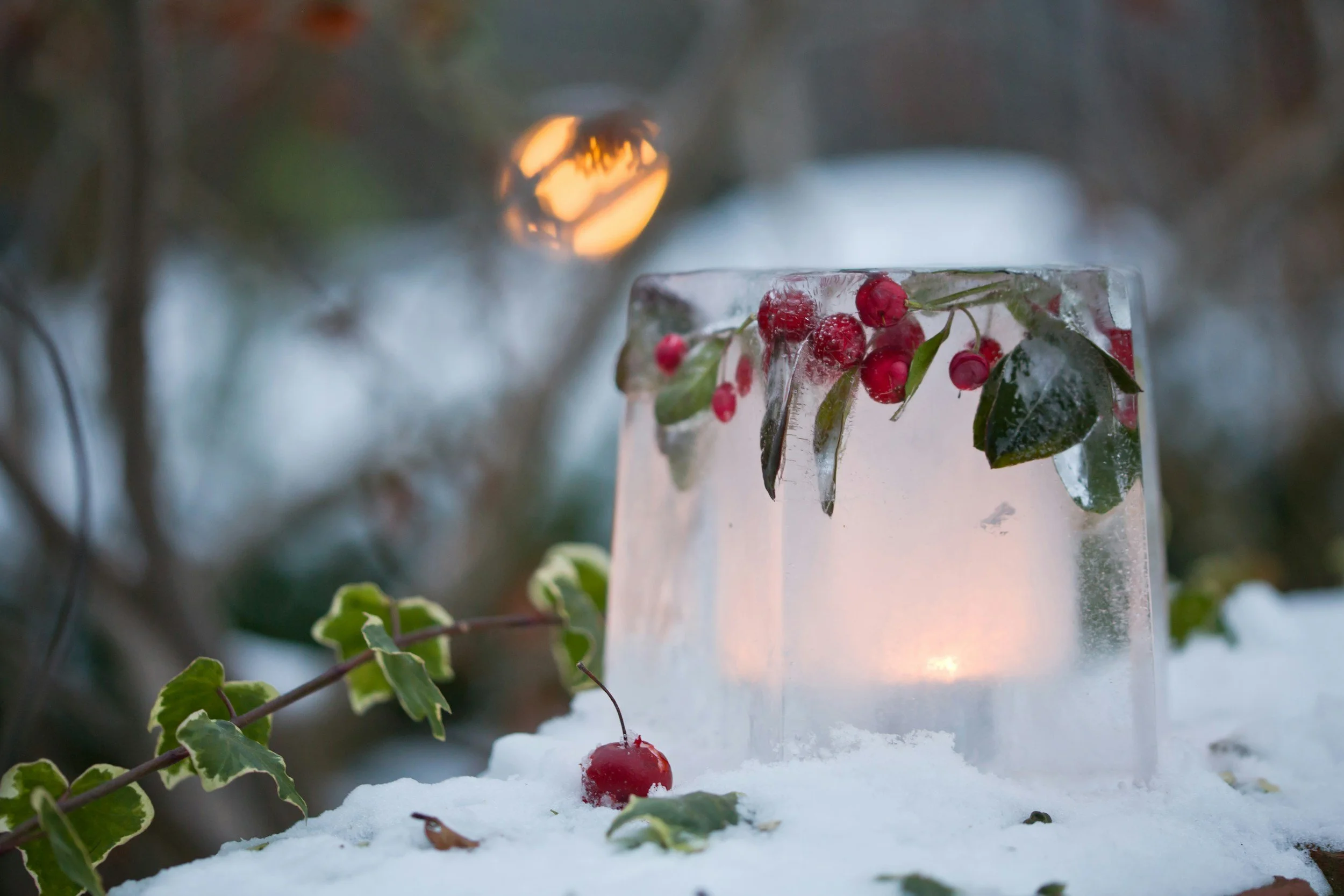 ASLA UTAH DECEMBER NEWSLETTER