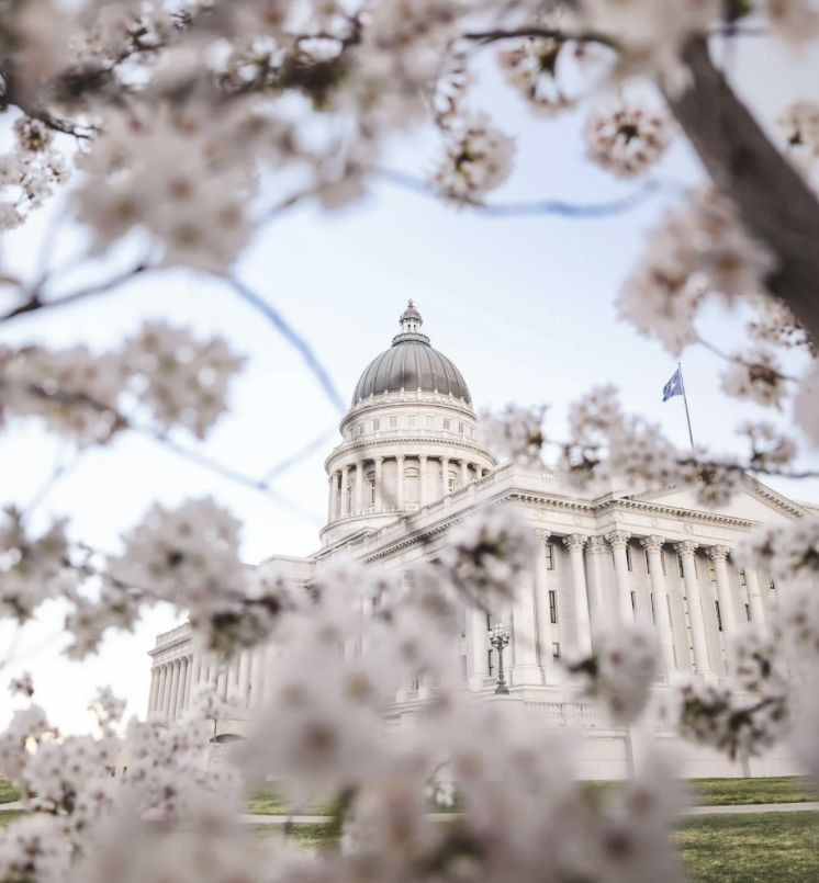 MARCH 2026 NEWSLETTER 