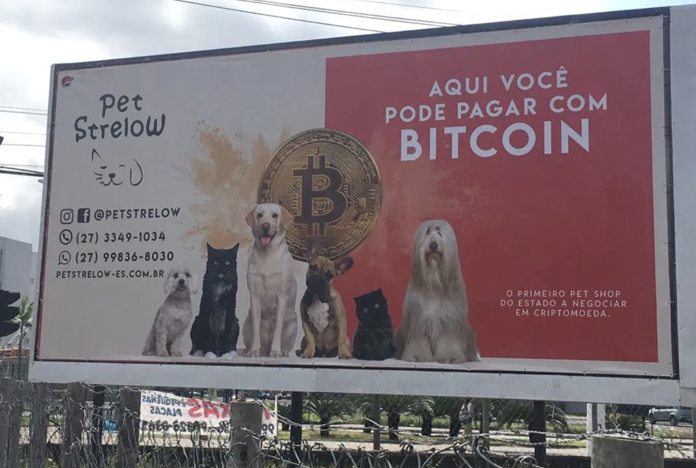77 Slogans Para o Bitcoin — 7 Dias de Bitcoin