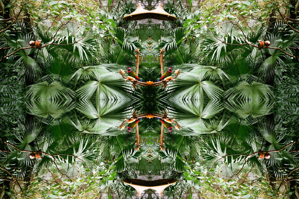 Compound Eyes.007.jpeg