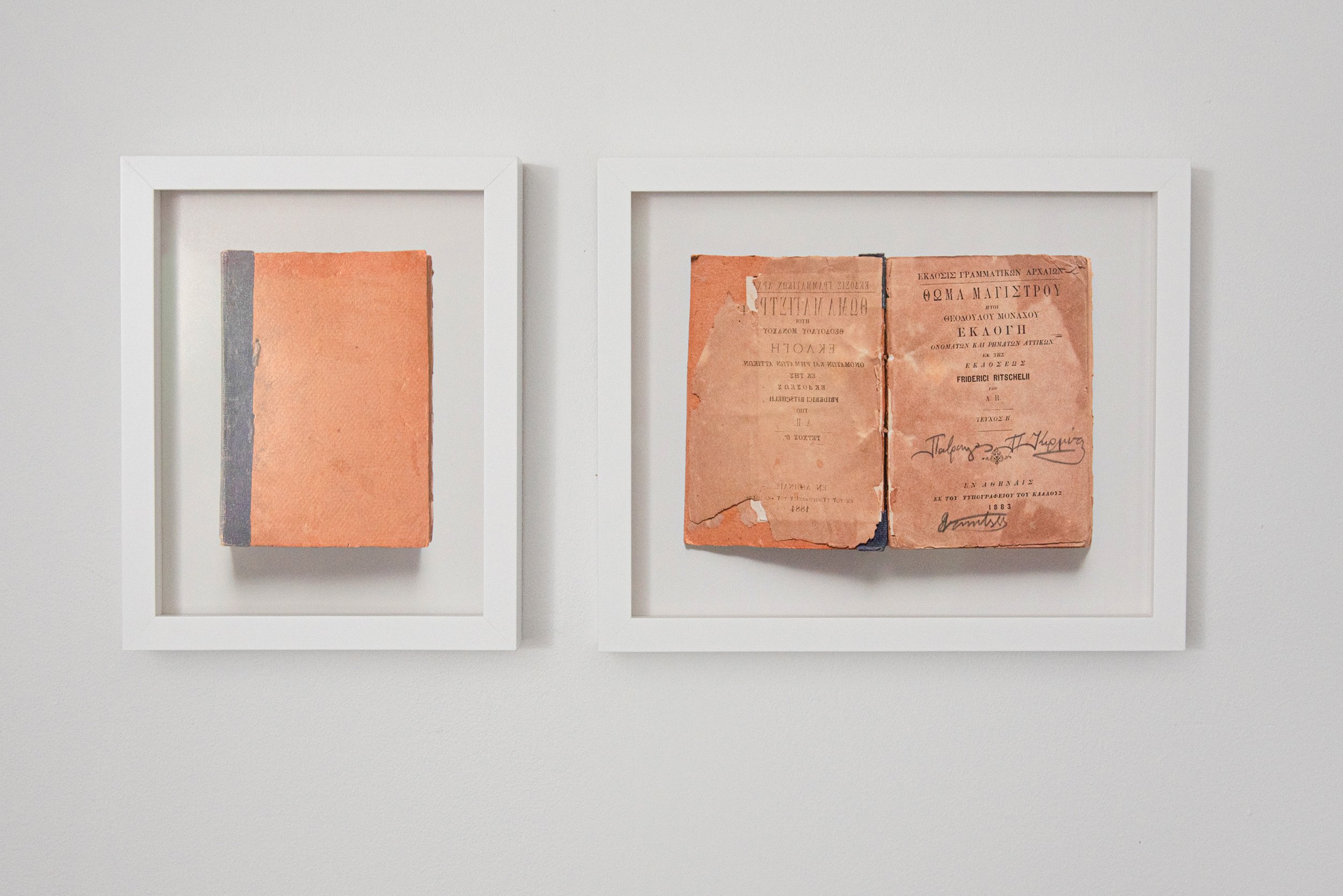 A Partial History (Book IV) , 2019 Archival inkjet print on luster paper 8.6 x 10.6 x 1.5 inches (framed) , 13 x 10.6 x 1.5 inches (framed)