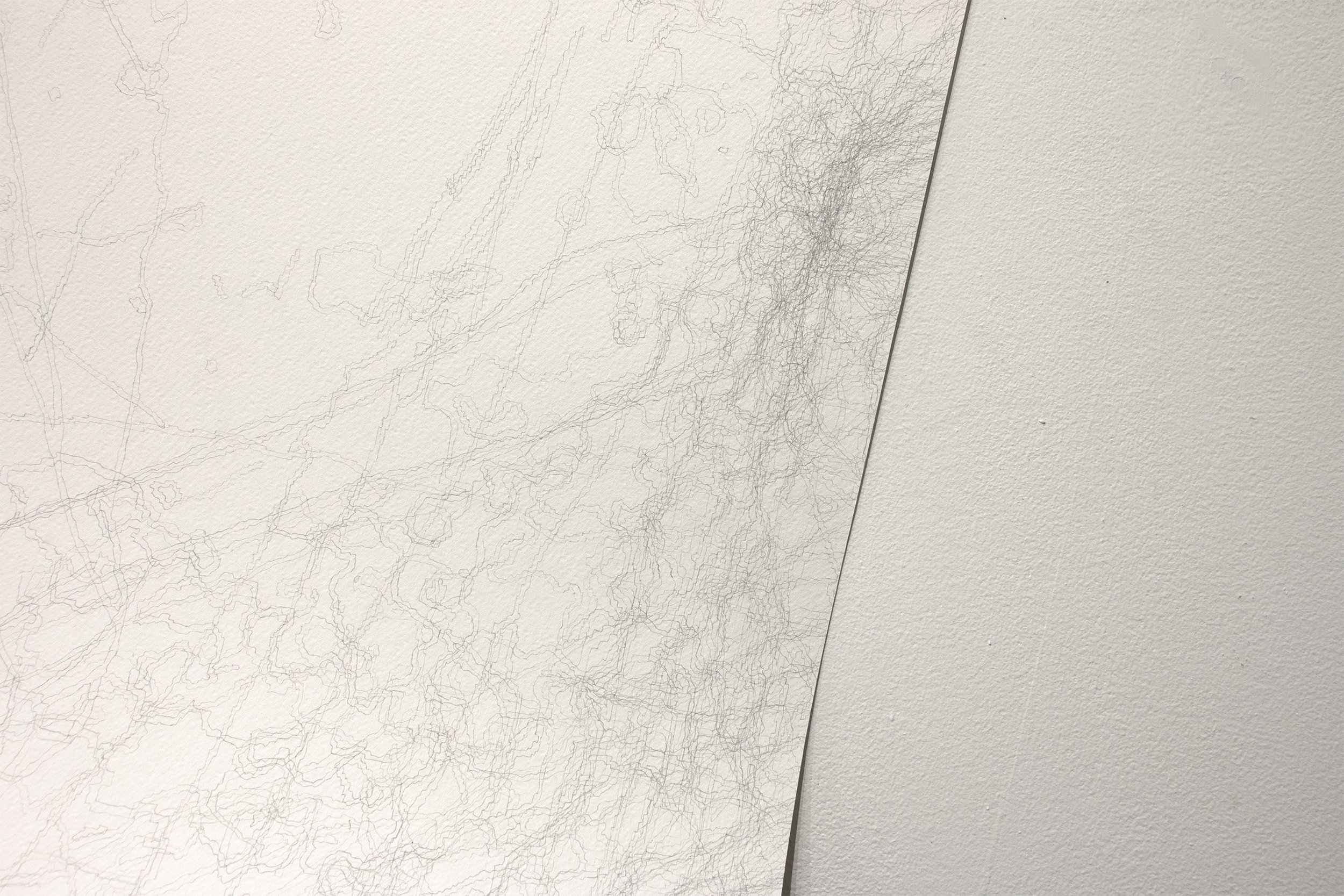 A Partial History (Drawing III) (detail), 2023 Graphite on 300gsm rough press watercolor paper, red oak 66 x 43.3 inches (dimensions of drawing) 54 x 0.75 x 0.75 inches (dimensions of wooden holder)