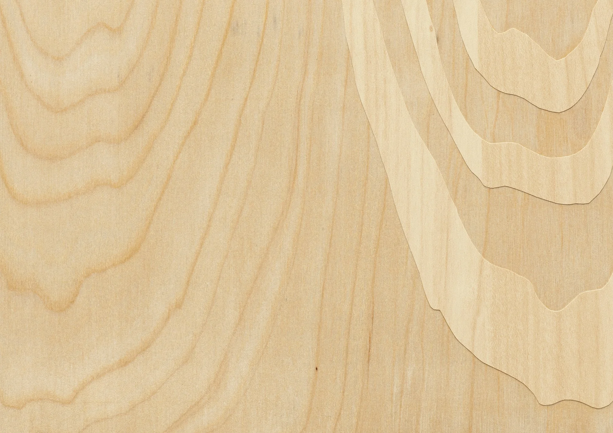  Marina Kassianidou,  Draping I  (detail), 2025 Adhesive vinyl collage and colored pencils on birch plywood panel 9 × 12 × 0.75 inches / 22.9 x 30.5 x 1.9 cm  