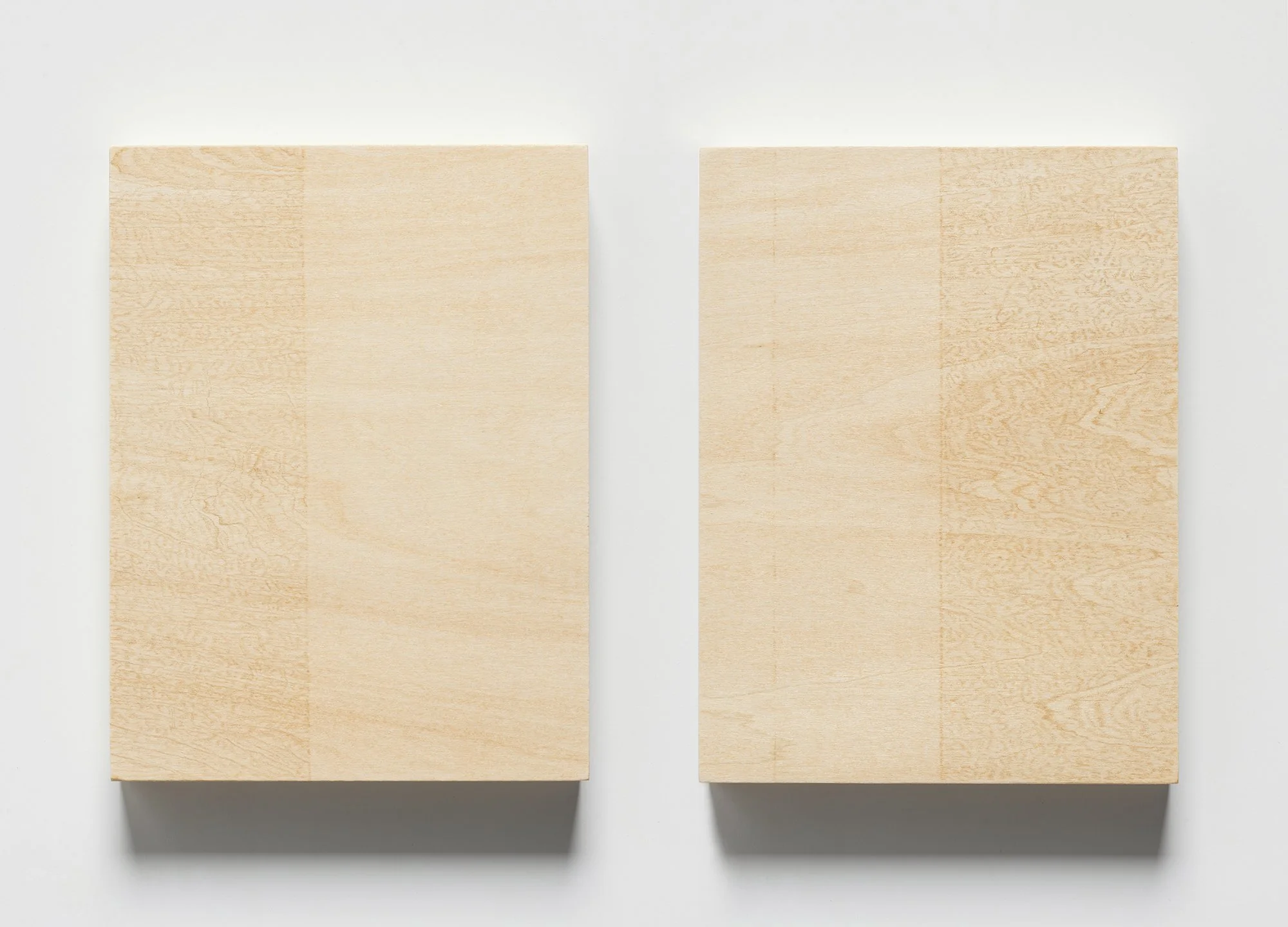  Marina Kassianidou,  Discoloration I  and  Discoloration II  (diptych), 2025 Colored pencils on birch plywood panels 6 × 8 × 1 inches / 15.2 x 20.3 x 2.3 cm each 