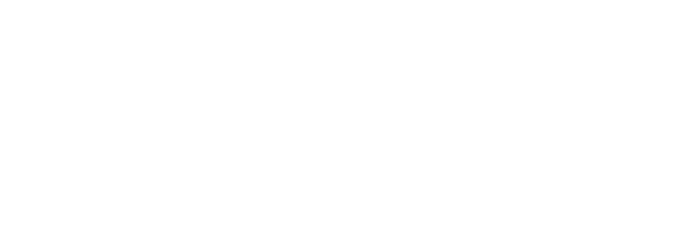 Litify.org