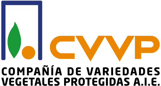 logo_cvvp_retina-2.png