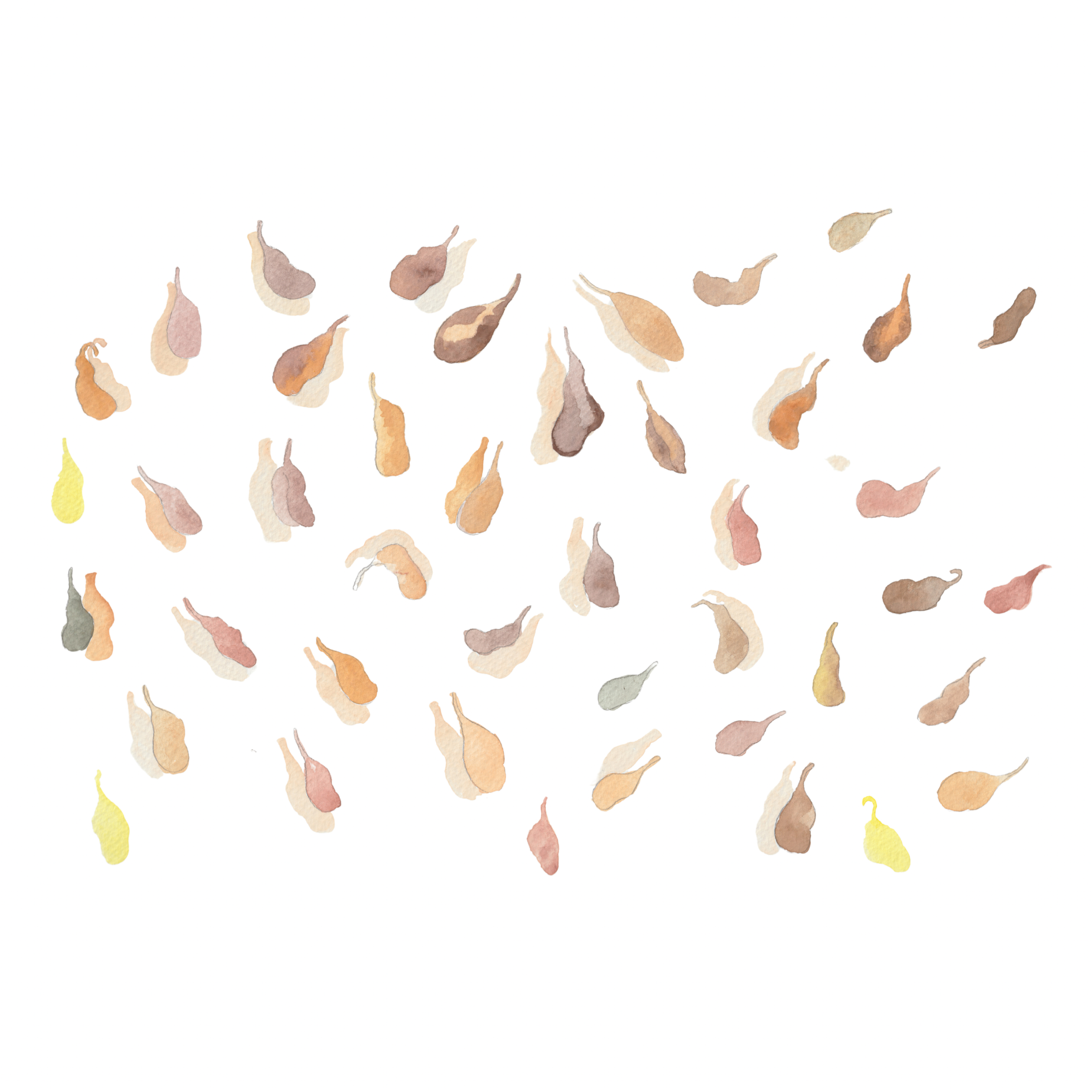 dec 2024 illustrationpatch art - 13.PNG