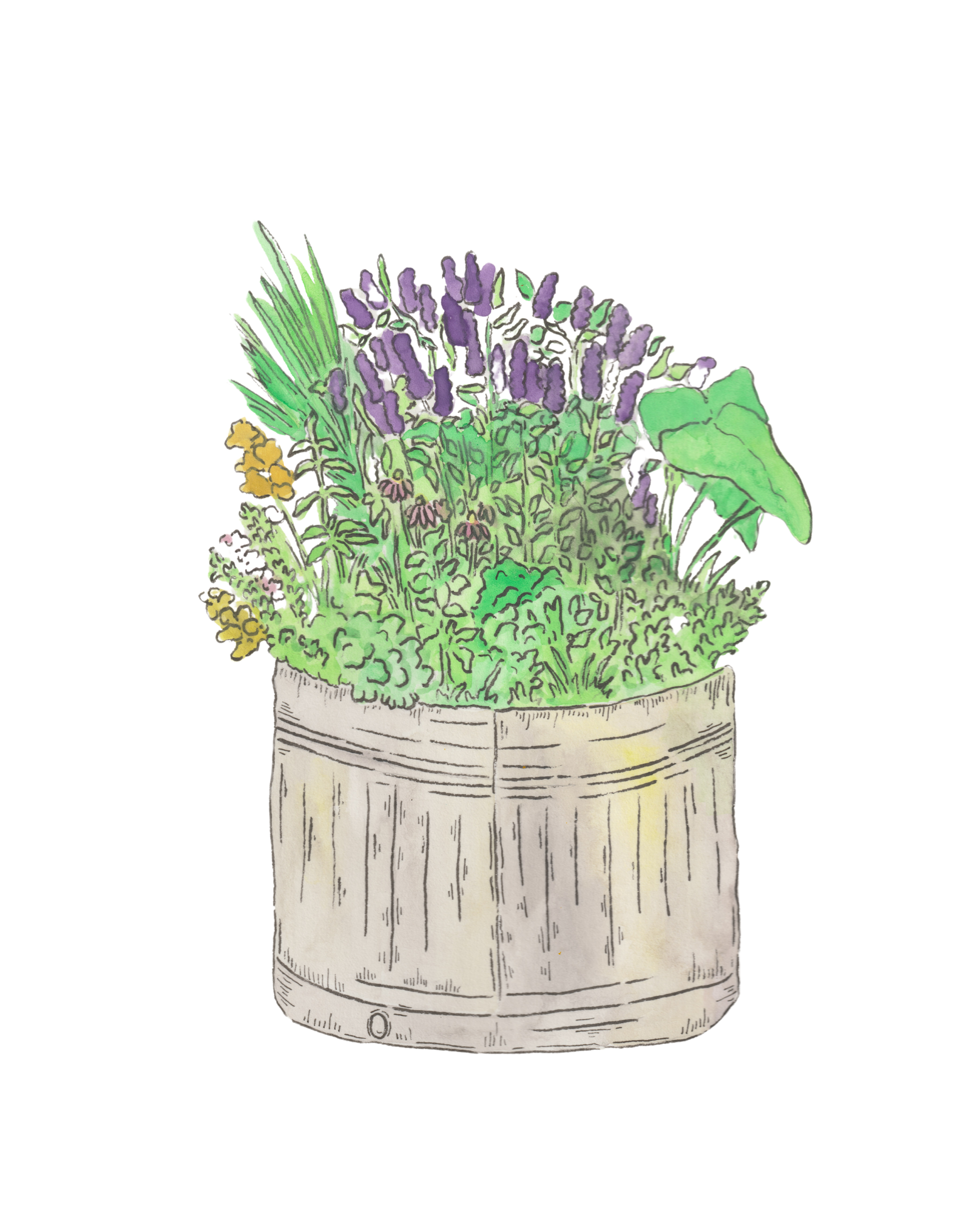 extra illus.zip - 4.PNG