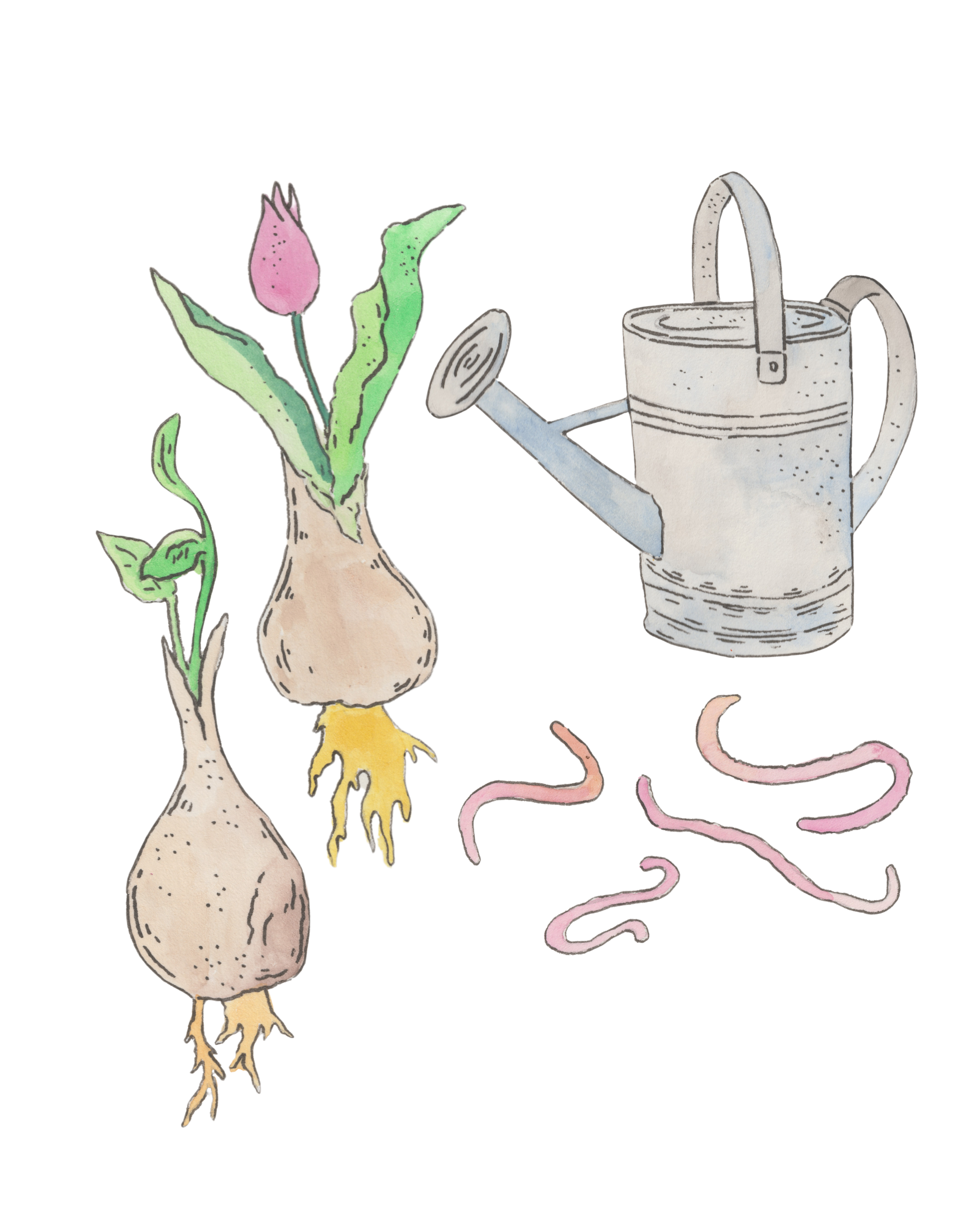 IG POSTS ideas 1.18.25.zip - 6.PNG