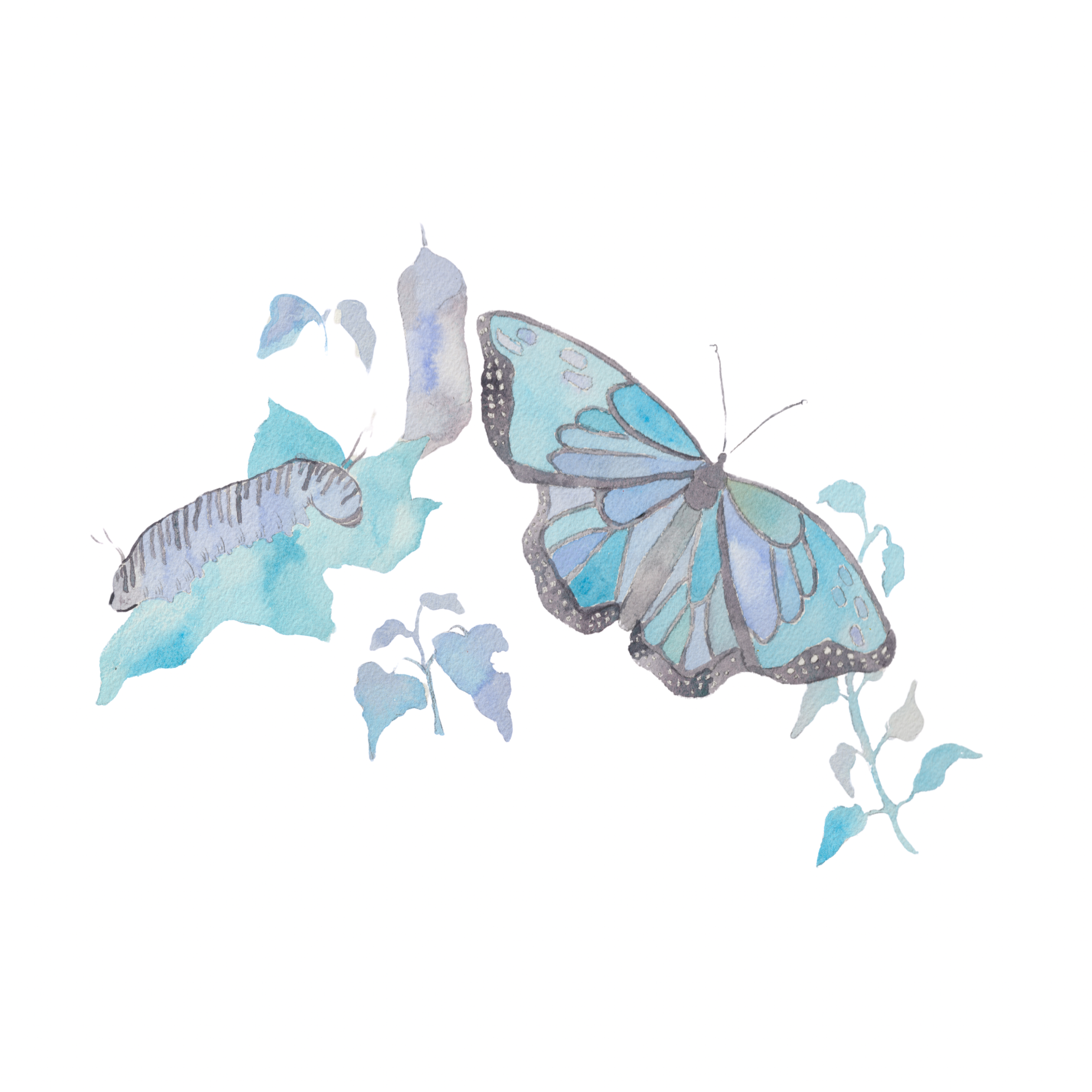 dec 2024 illustrationpatch art - 7.PNG