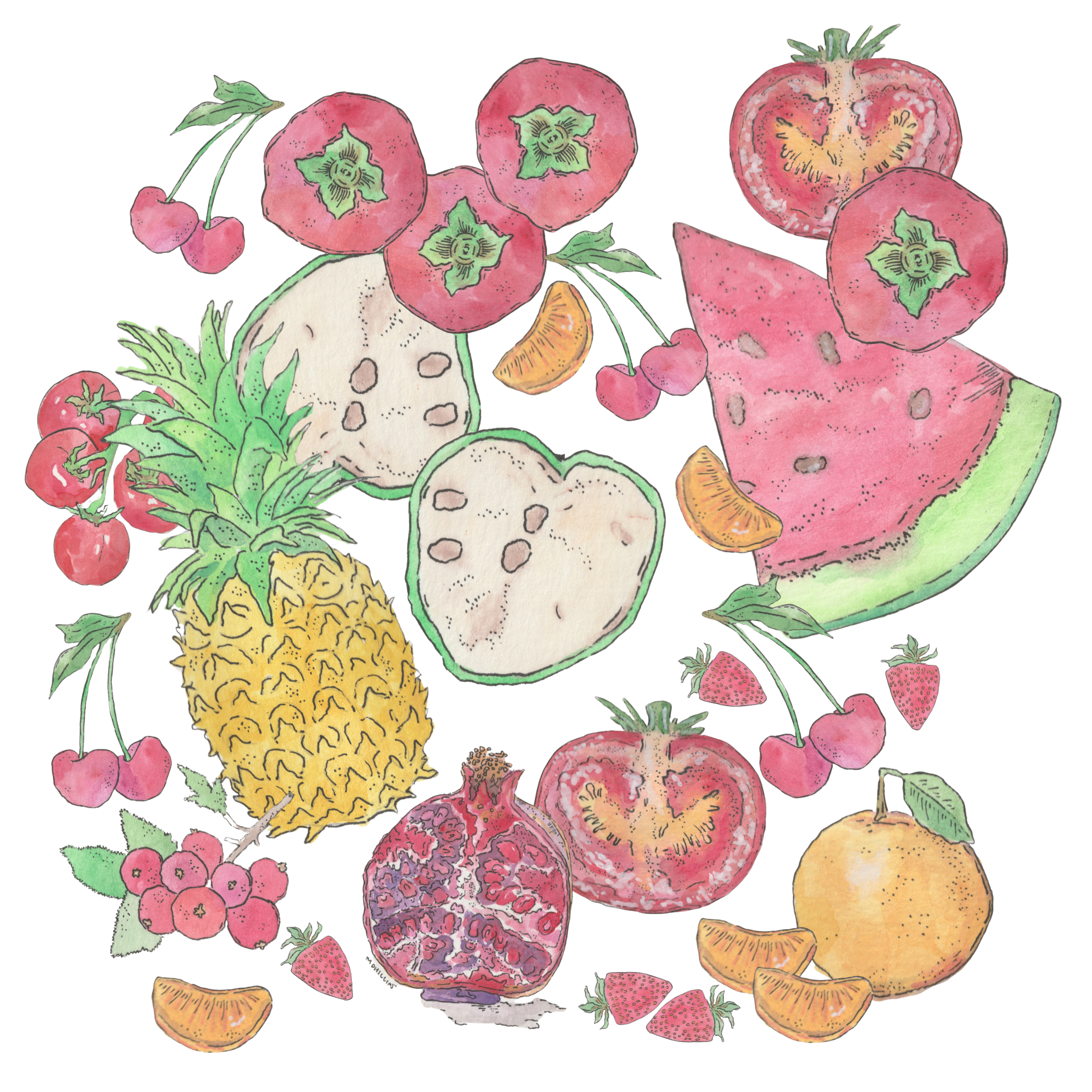 fruit illustrations.PNG