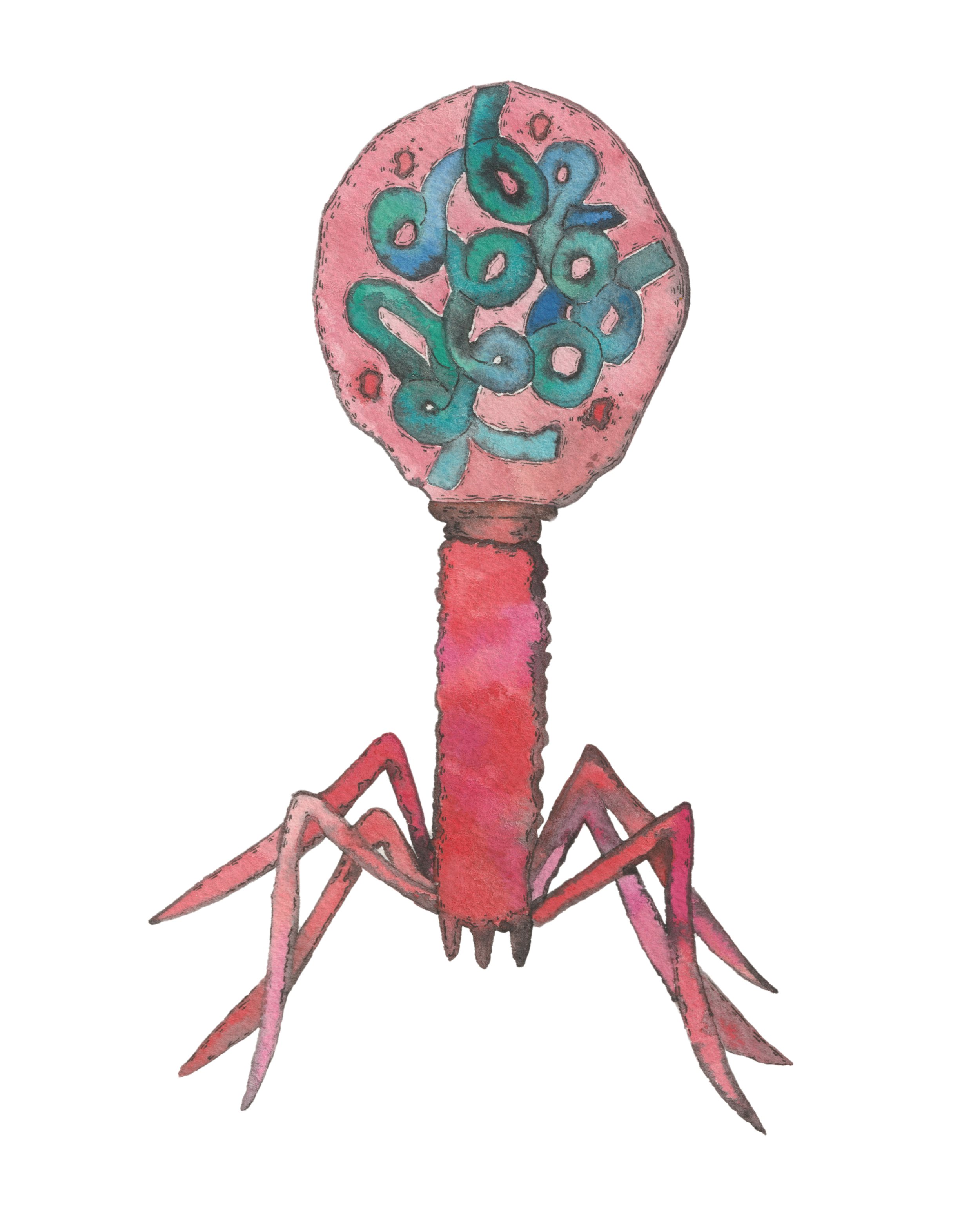 IMG_0377.PNG