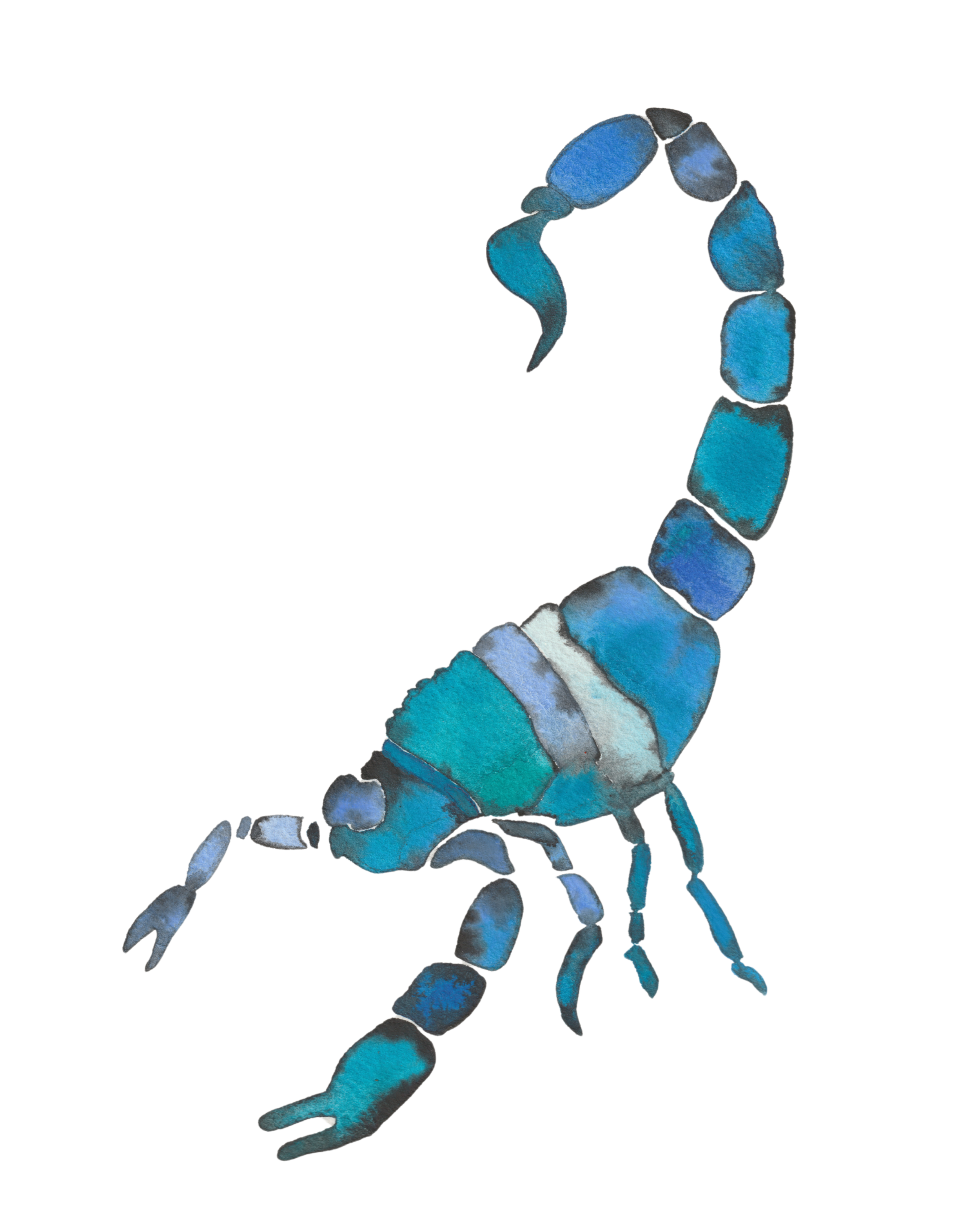 scorpio blue scorpion.zip - 1.PNG