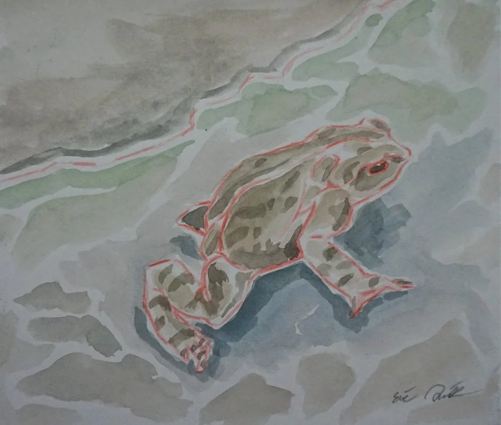 EF69CFD2-8684-42F7-9A03-382DFCB814E3