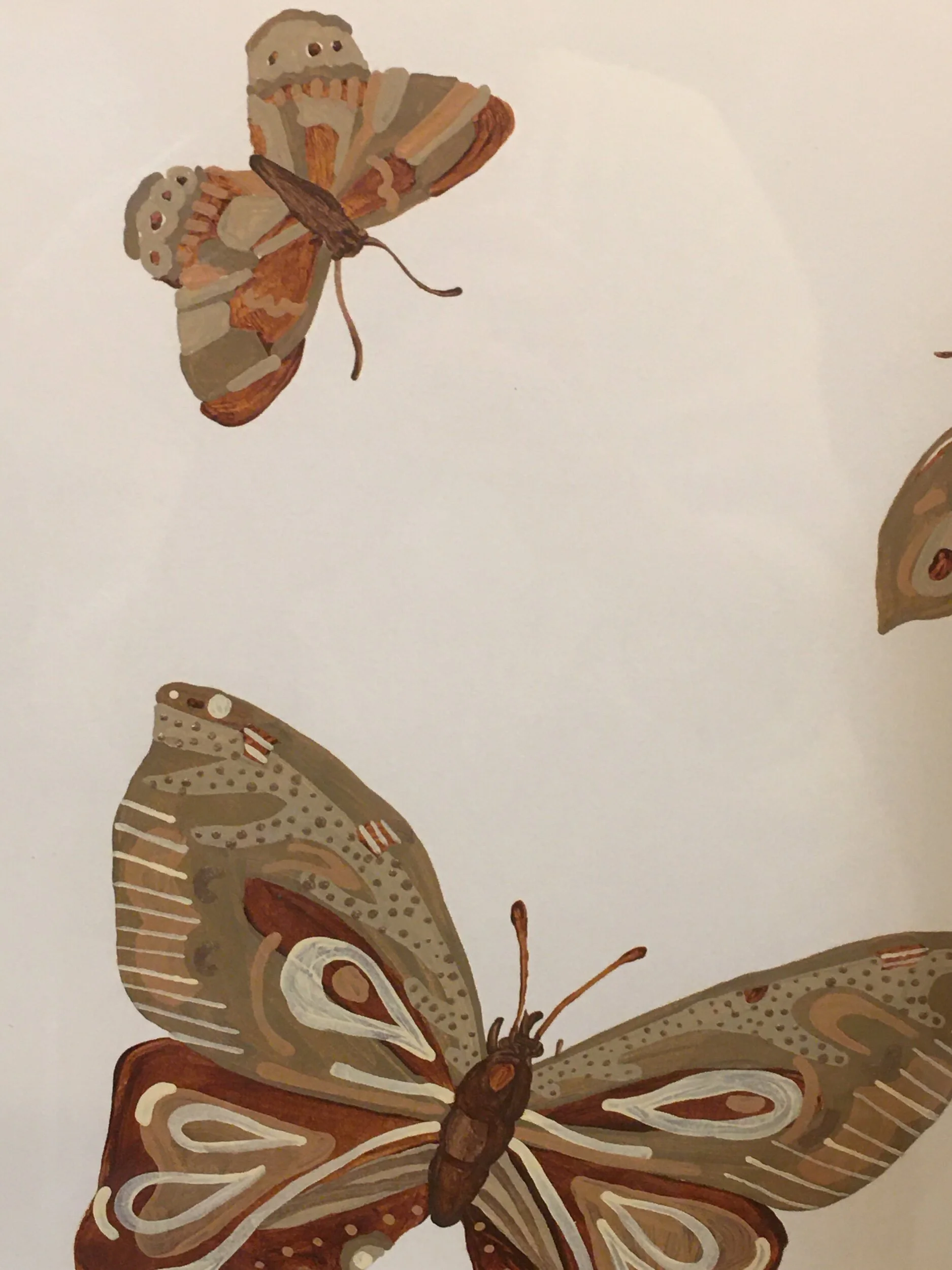 ABFB305F-AE15-424E-86CE-2EC55EB52E11