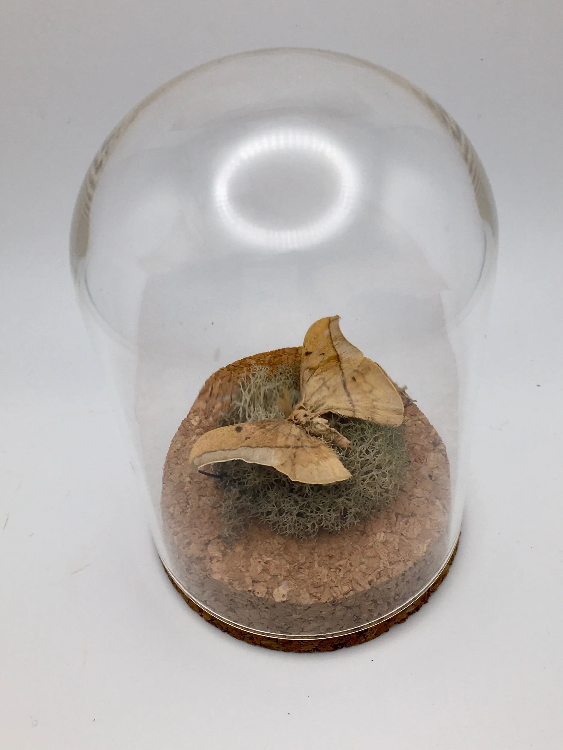 AED1EDA9-F084-414D-B258-50B0CED0DC4A