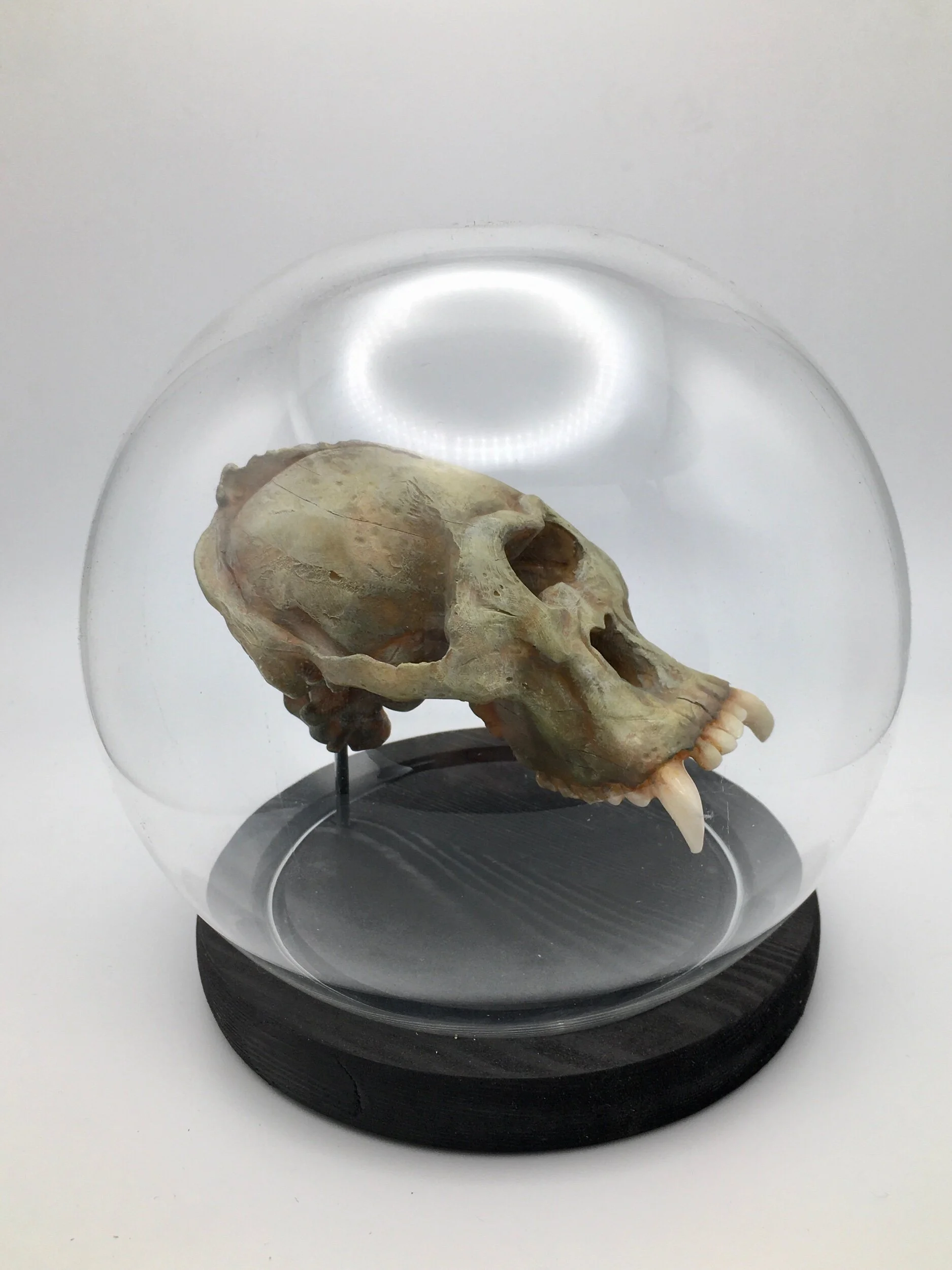 9A36D737-6B8C-476C-BCAC-B4175F19DF7E