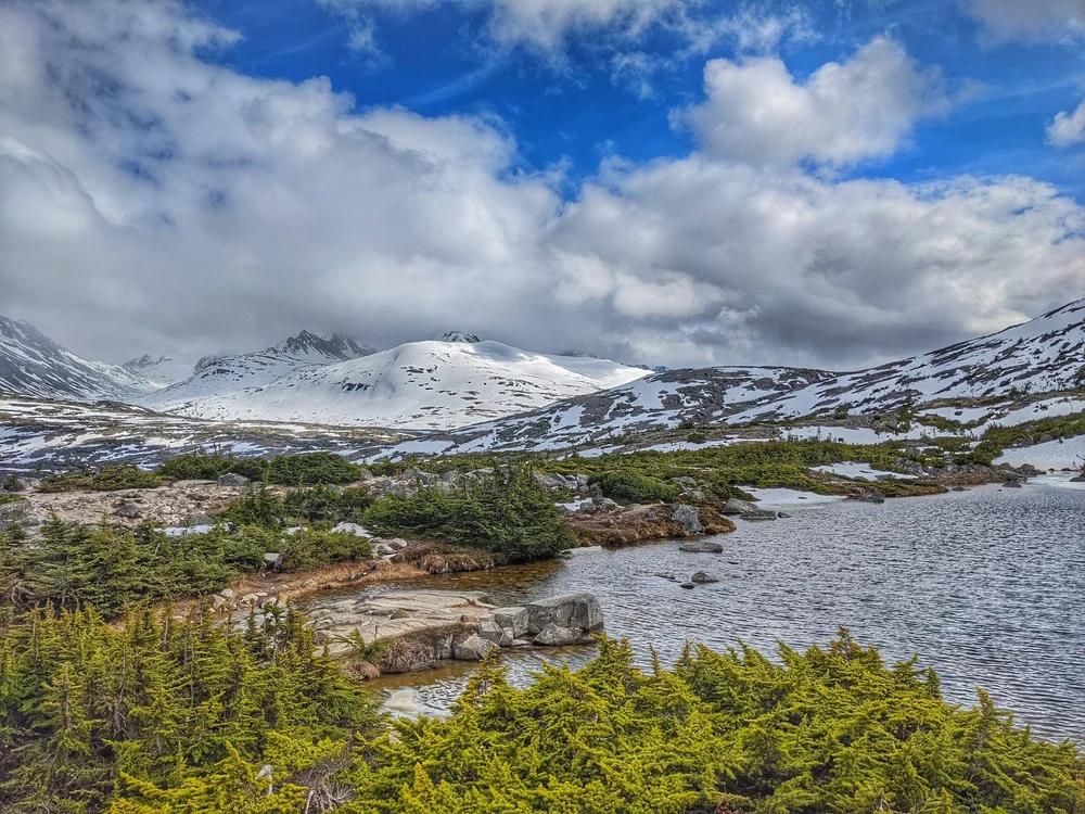 Klondike HIghway Drive