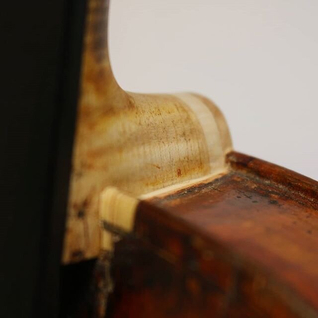 Raise it up!
.
.
.
.
#violin #stringinstrument #classical #music #collection #luthier #oneofakind #classicalmusic #art #restoration #France #french  #classic #antique #woodworking #handmade #restored #musician #violinist #viola #violist #cello #celli