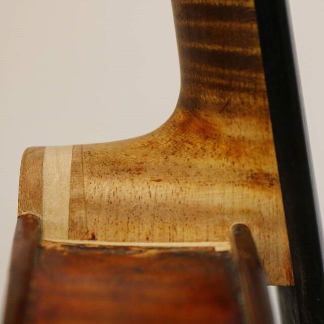A neck with the appropriate height and projection is mandatory
.
.
.
.
.
#violin #stringinstrument #classical #music #collection #luthier #oneofakind #classicalmusic #art #restoration #french #france #classic #antique #woodworking #handmade #restored