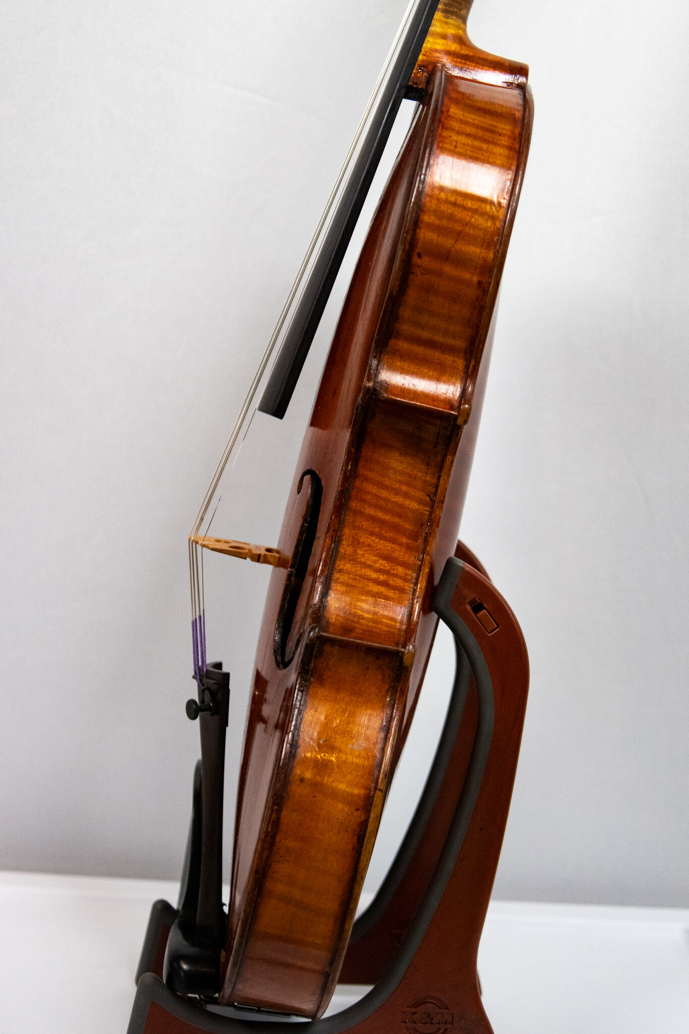 A Violin by D. Nicolas ca. 1810 — Burnham Violin Company
