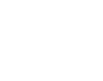 Databoys