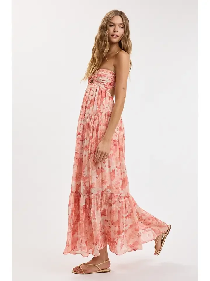 Coral 3.webp