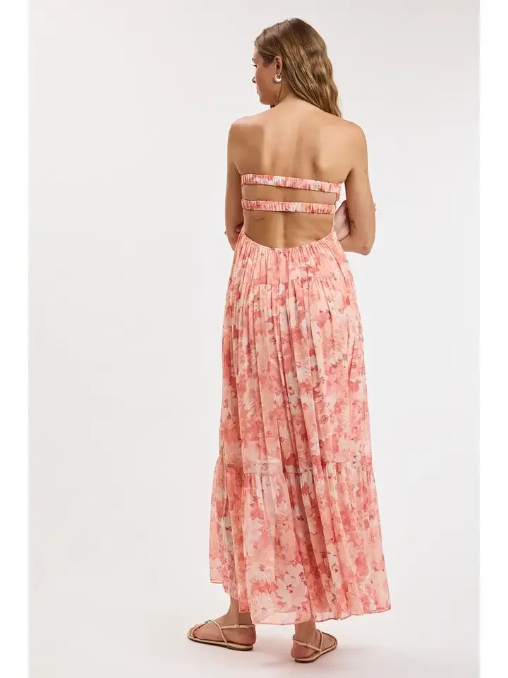 Coral 4.webp